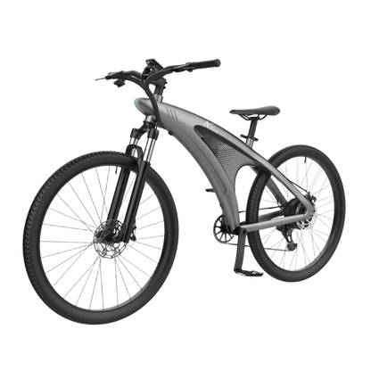 Q3 Performance Electric Bike