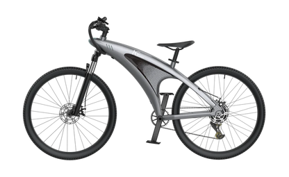 Q3 Performance Electric Bike