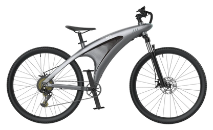 Q3 Performance Electric Bike